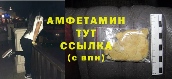 сатива Няндома