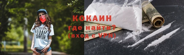 сатива Няндома