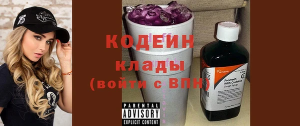 сатива Няндома
