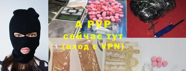 стафф Новозыбков