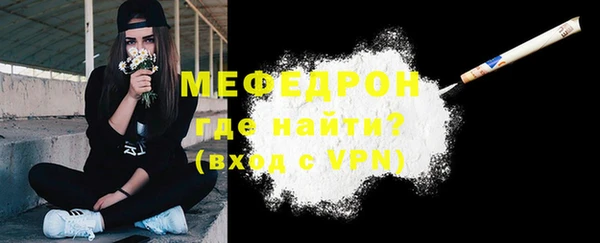 сатива Няндома
