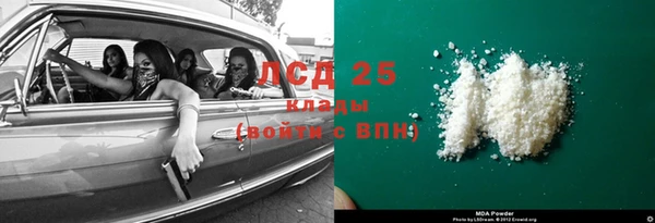 сатива Няндома