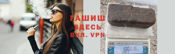 сатива Няндома