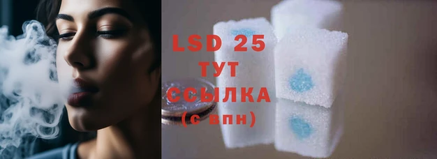 сатива Няндома