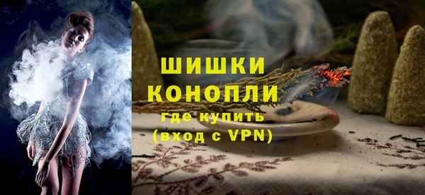 стафф Новозыбков