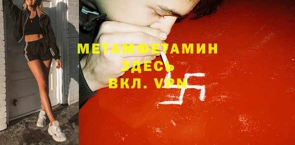 сатива Няндома