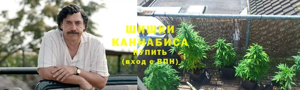 молекула духа Инсар