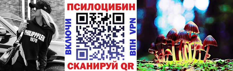 Псилоцибиновые грибы GOLDEN TEACHER  купить закладку  Мирный 