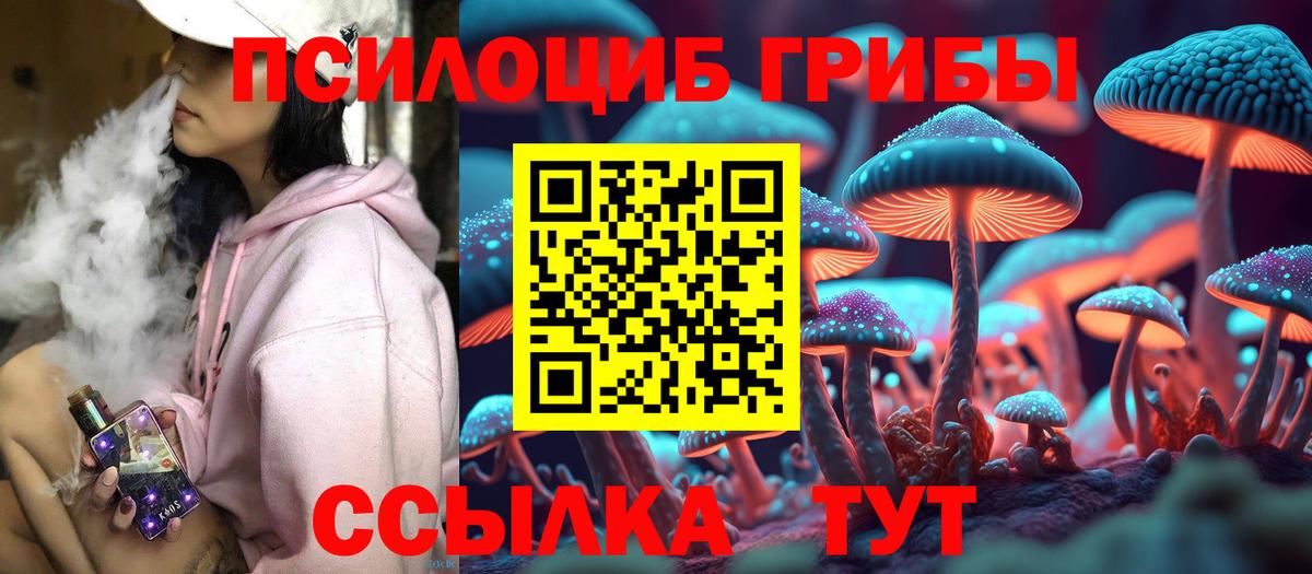 Псилоцибиновые грибы Cubensis Мирный